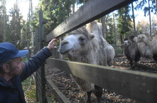 Russia Animals Rehabilitation Centre