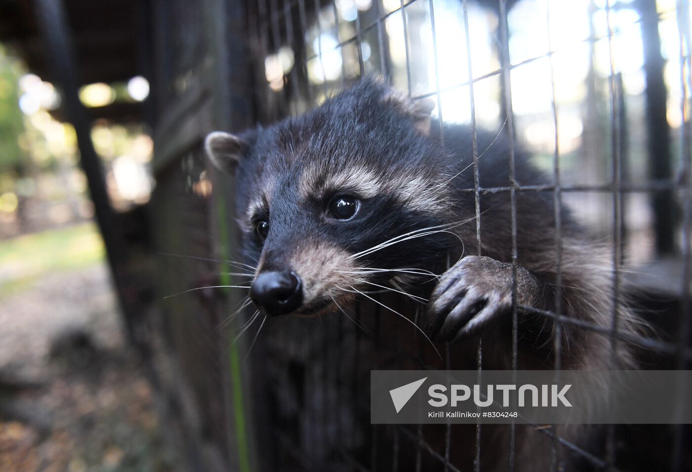 Russia Animals Rehabilitation Centre