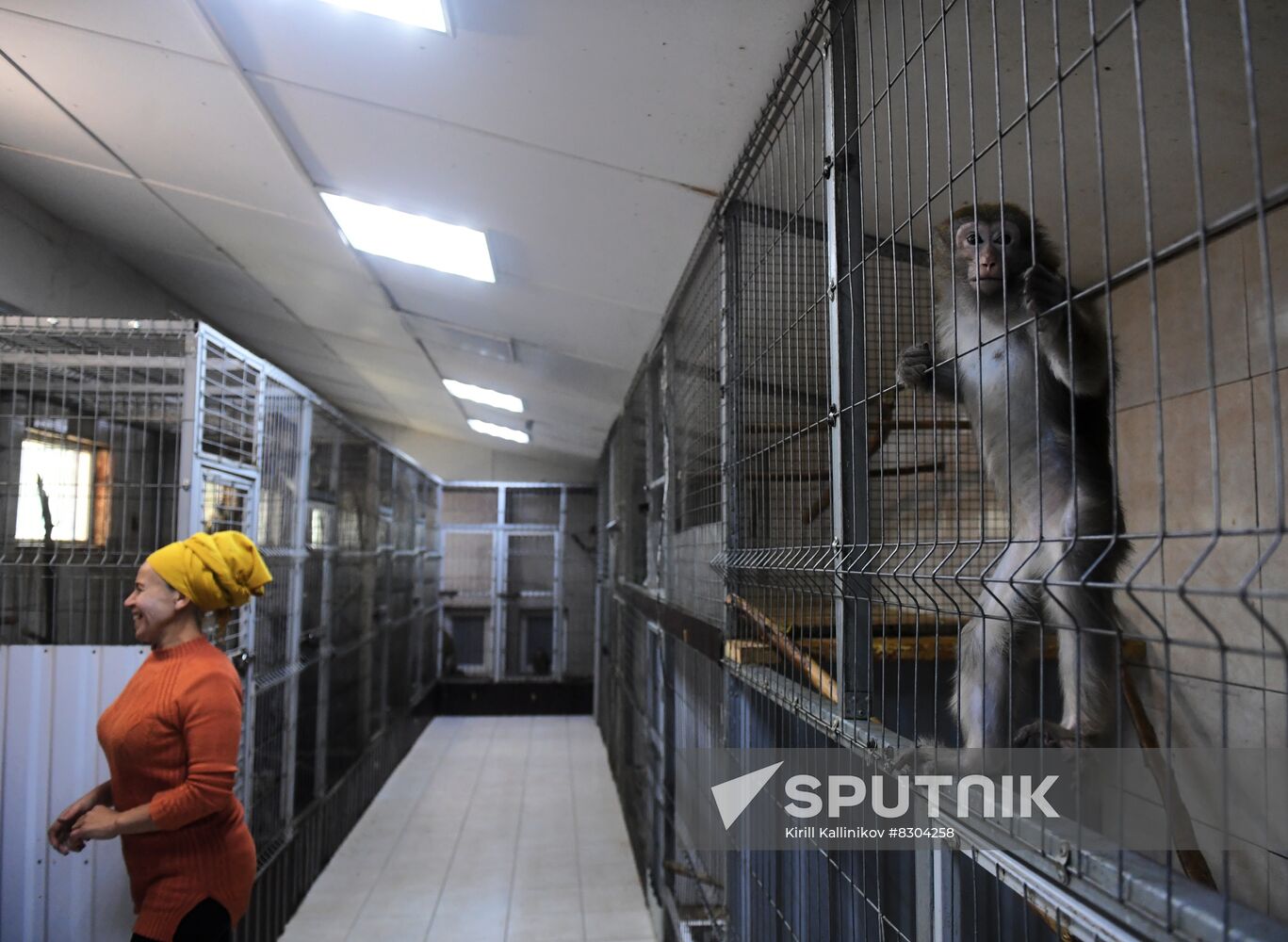 Russia Animals Rehabilitation Centre