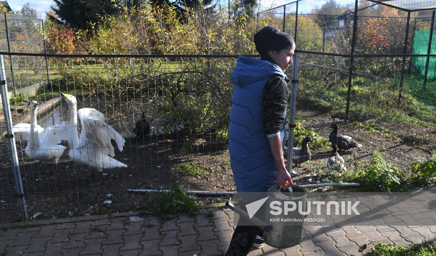 Russia Animals Rehabilitation Centre
