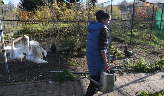 Russia Animals Rehabilitation Centre