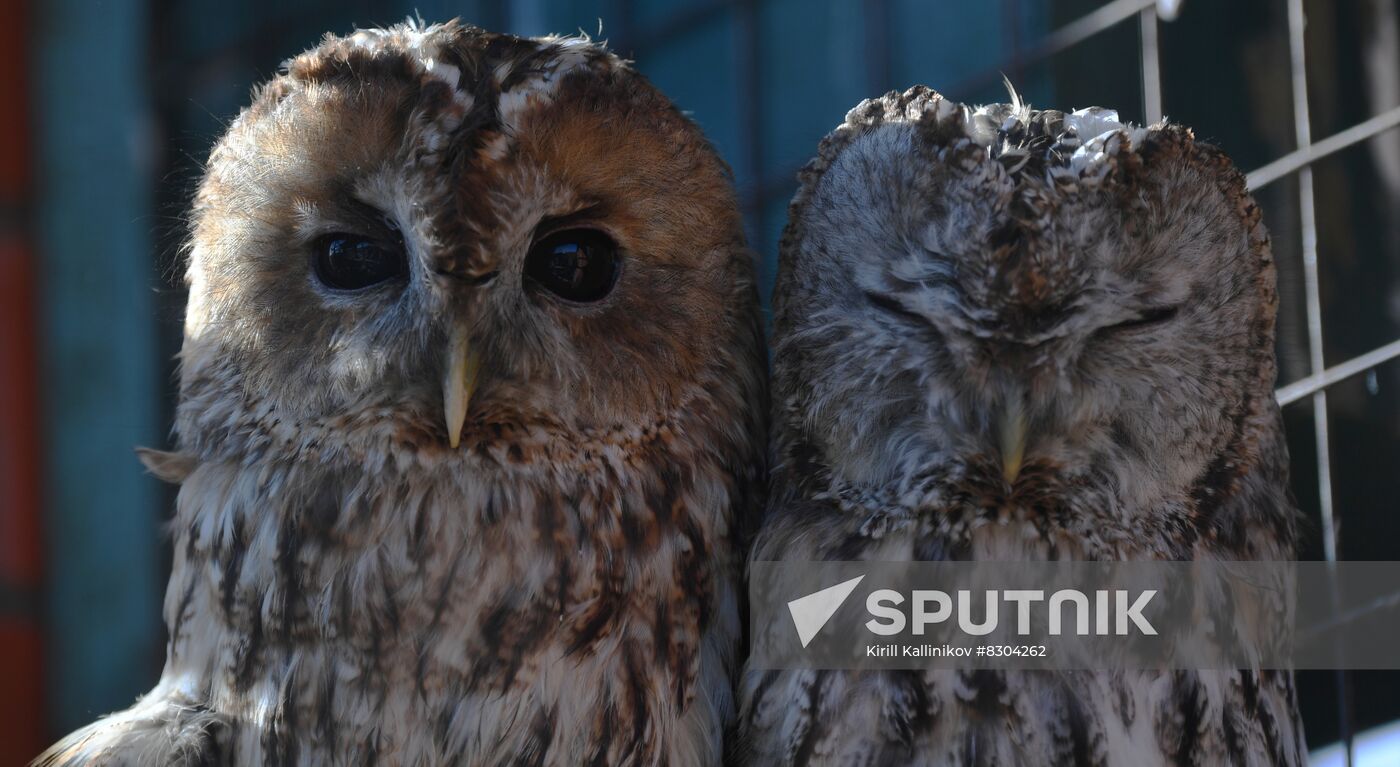 Russia Animals Rehabilitation Centre