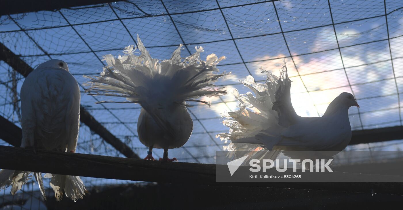 Russia Animals Rehabilitation Centre