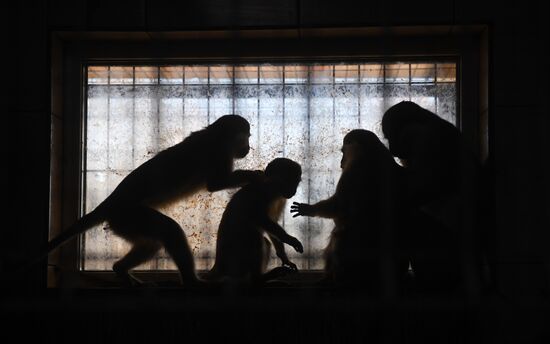 Russia Animals Rehabilitation Centre