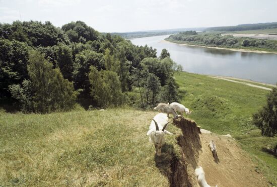 Oka River in Tula Region