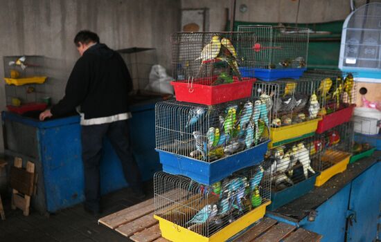 Russia Ukraine Military Operation Daily