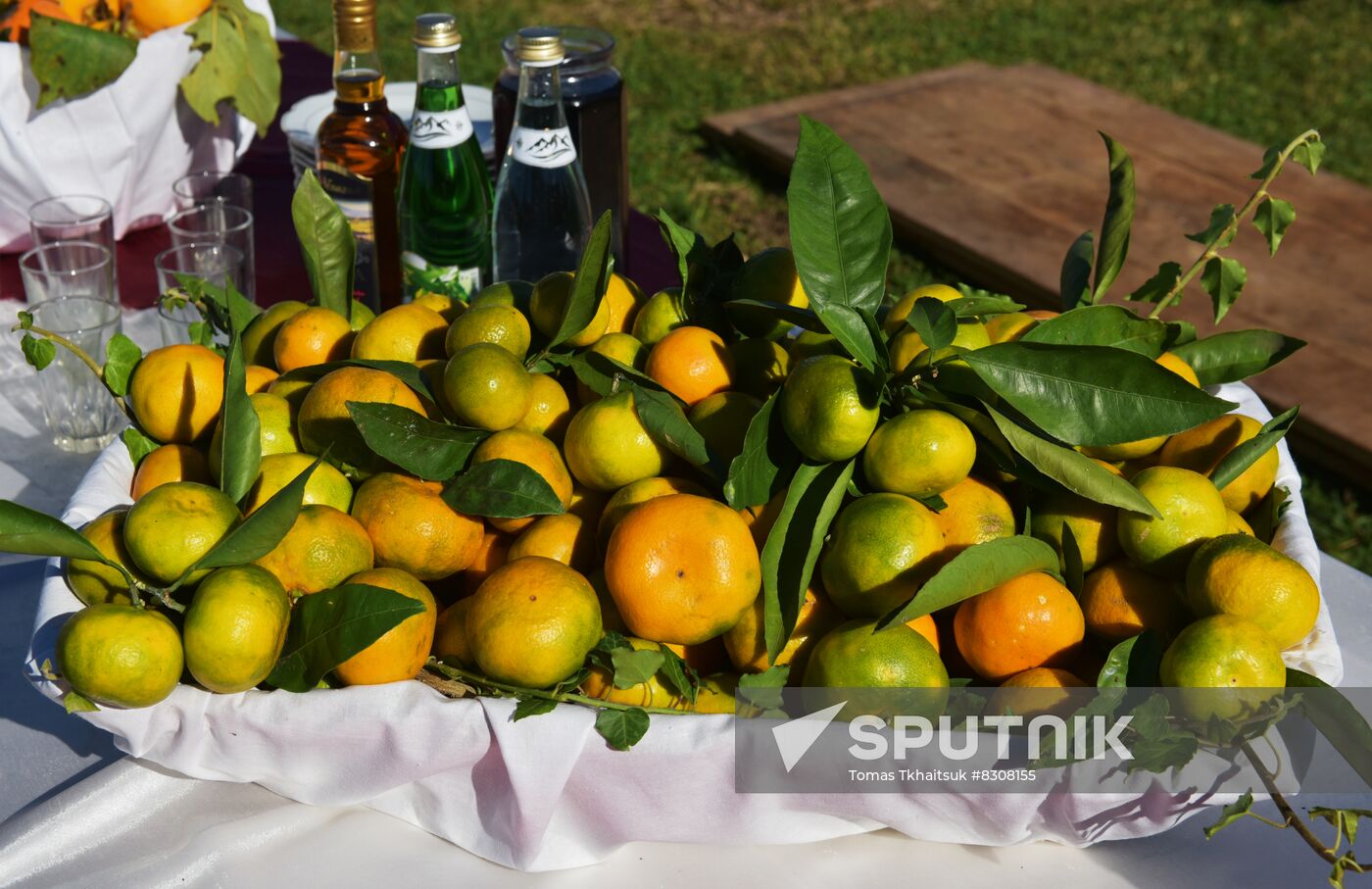 Abkhazia Harvest Festival