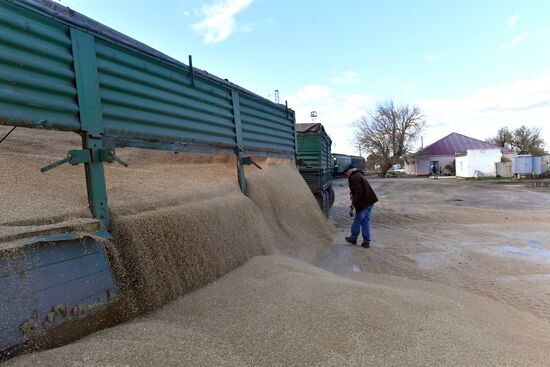 Russia Ukraine Military Operation Grain Transportation
