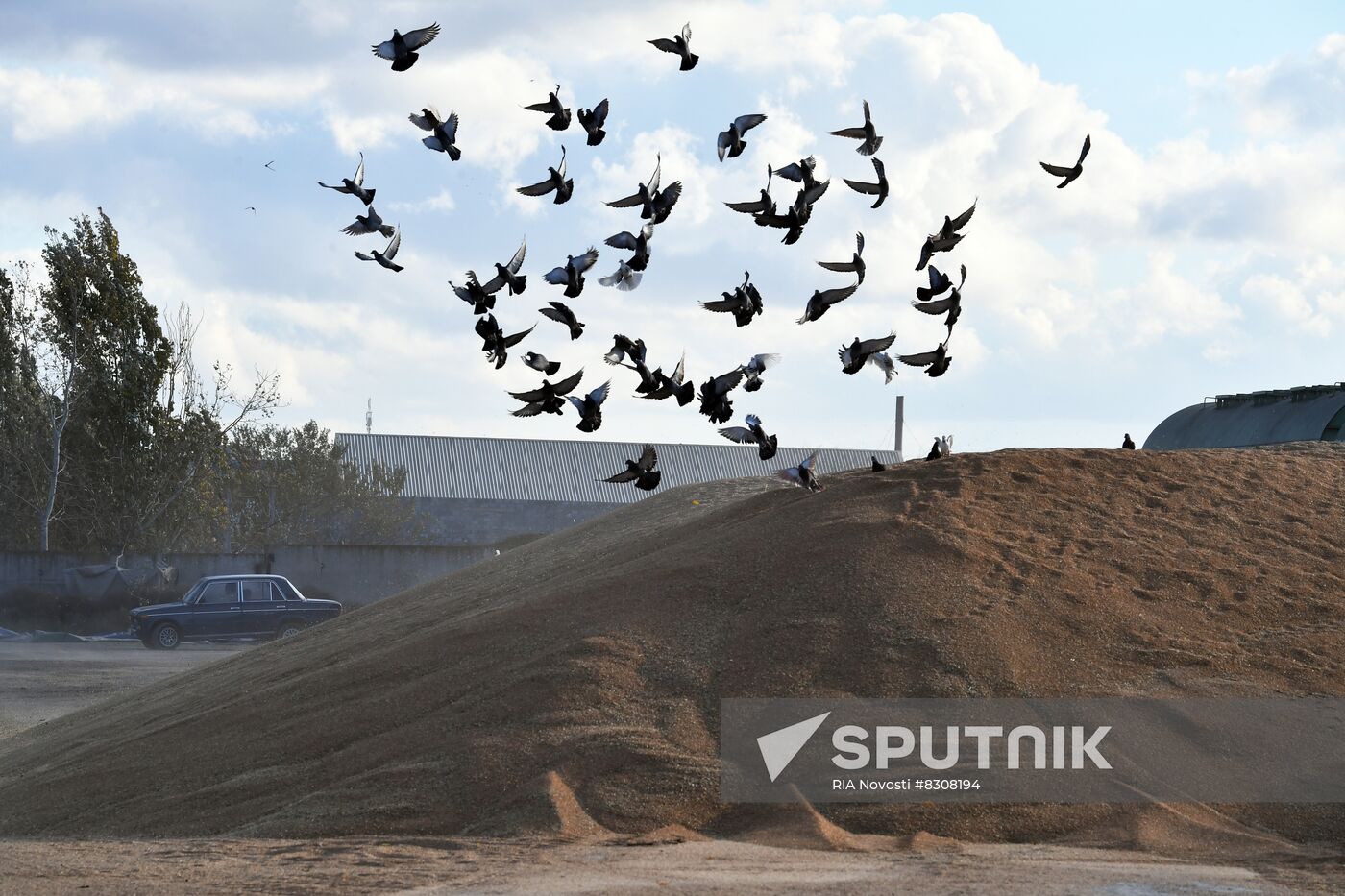 Russia Ukraine Military Operation Grain Transportation