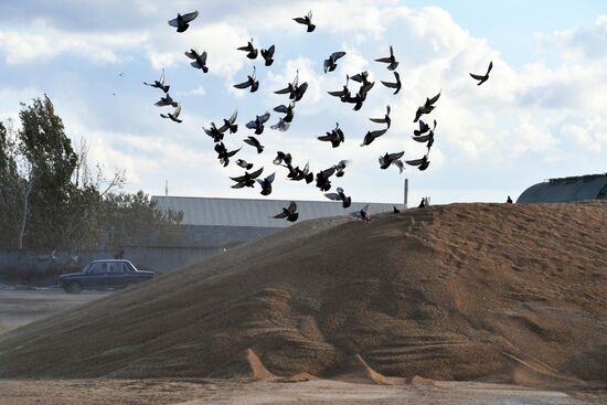 Russia Ukraine Military Operation Grain Transportation