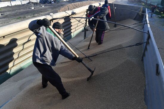 Russia Ukraine Military Operation Grain Transportation