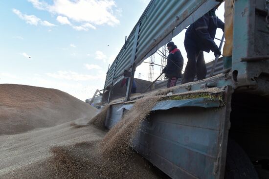 Russia Ukraine Military Operation Grain Transportation