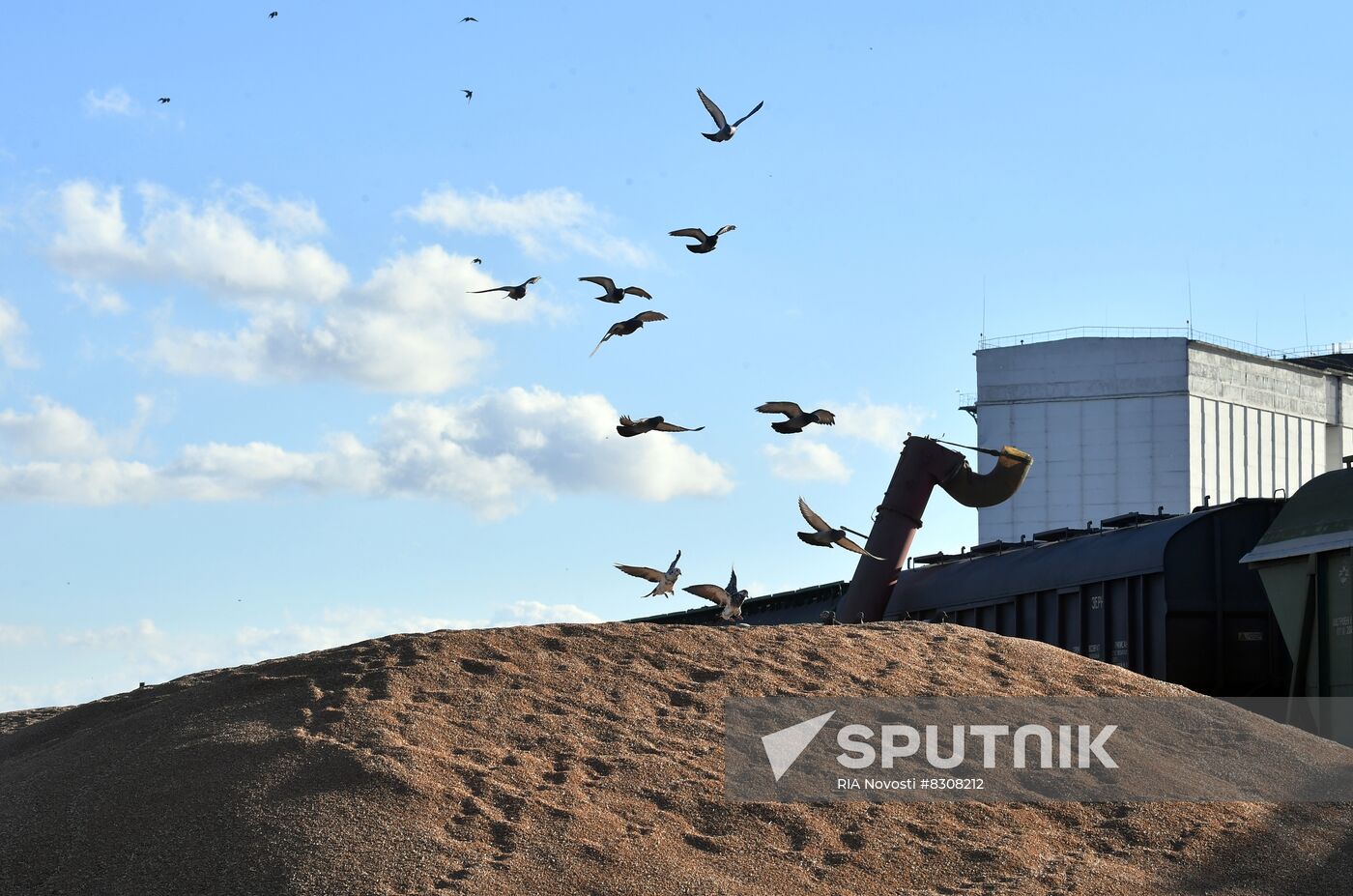 Russia Ukraine Military Operation Grain Transportation