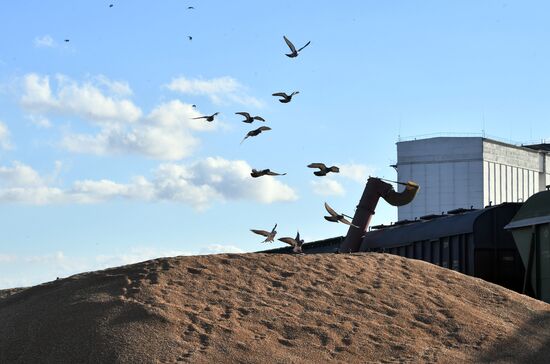 Russia Ukraine Military Operation Grain Transportation