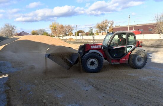 Russia Ukraine Military Operation Grain Transportation