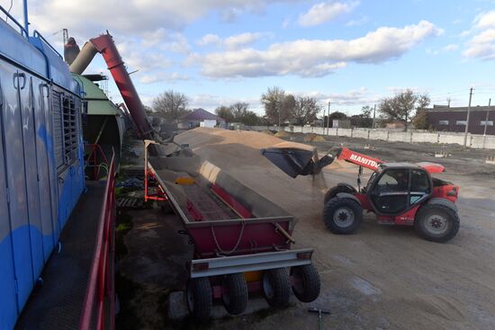 Russia Ukraine Military Operation Grain Transportation
