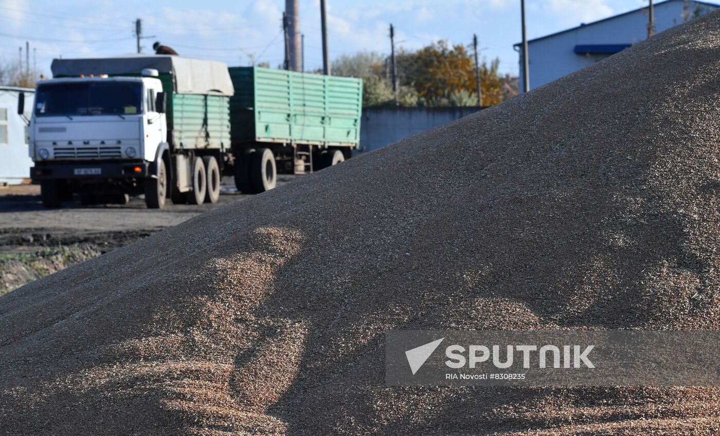 Russia Ukraine Military Operation Grain Transportation