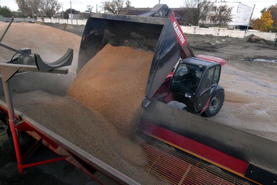 Russia Ukraine Military Operation Grain Transportation