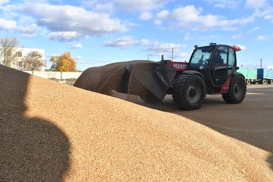 Russia Ukraine Military Operation Grain Transportation