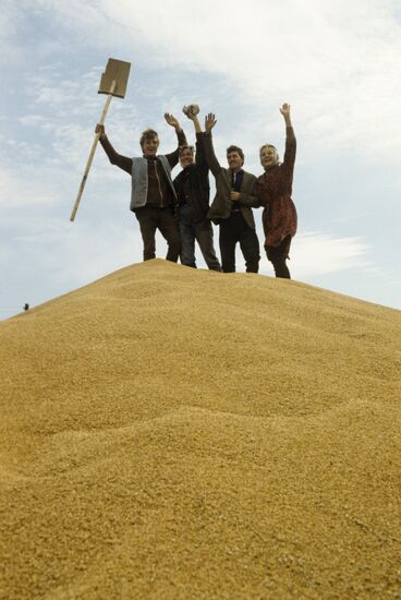 Grain harvest on virgin lands of Kazakhstan