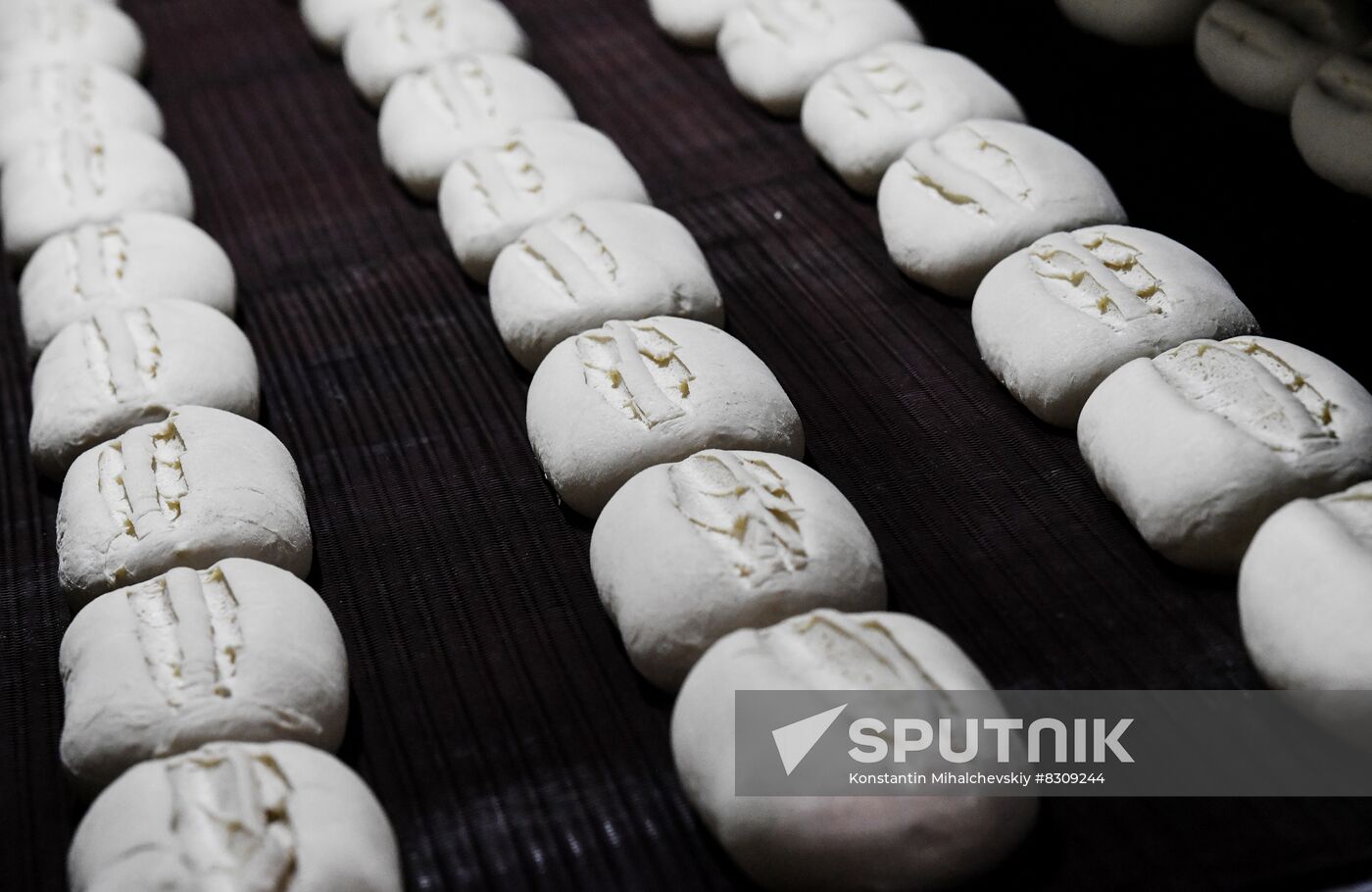 Russia Ukraine Military Operation Bakery