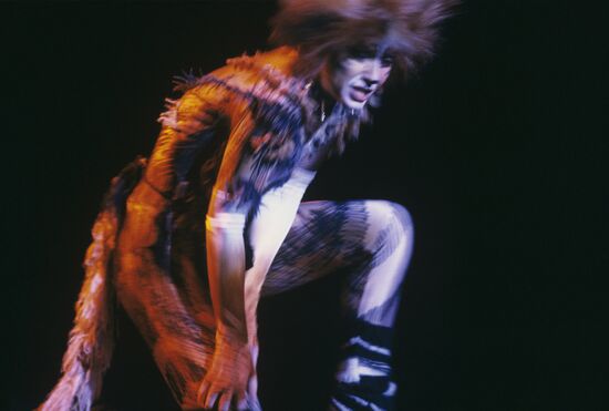 Cats musical in Moscow