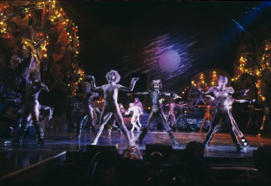 Cats musical in Moscow