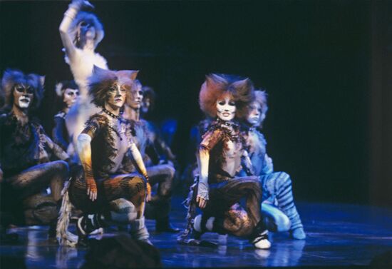 Cats musical in Moscow