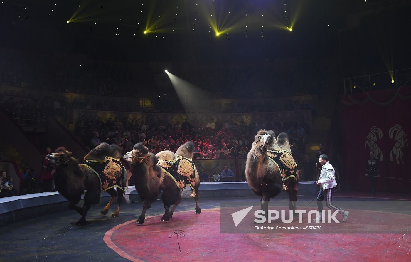 Russia Circus Festival