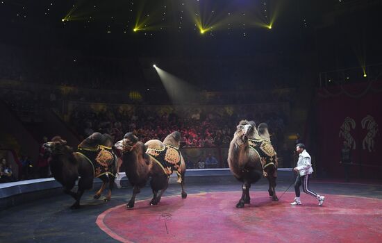 Russia Circus Festival
