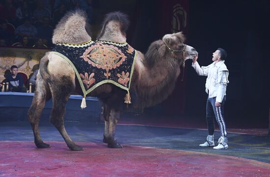 Russia Circus Festival