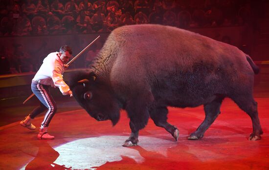 Russia Circus Festival