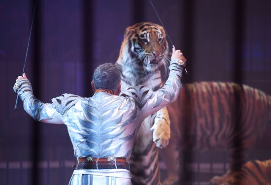 Russia Circus Festival