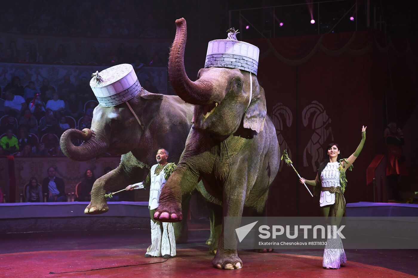 Russia Circus Festival