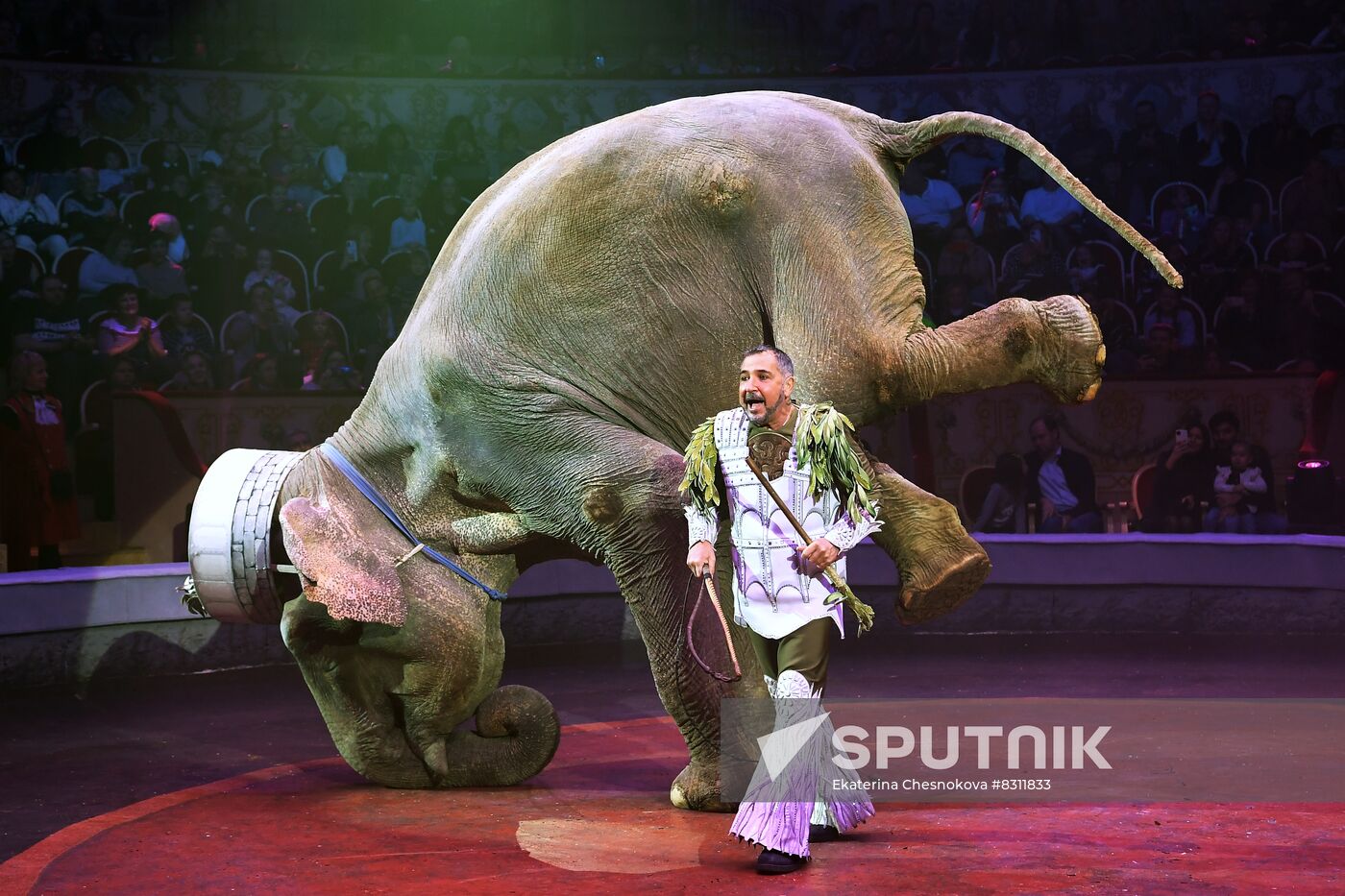 Russia Circus Festival