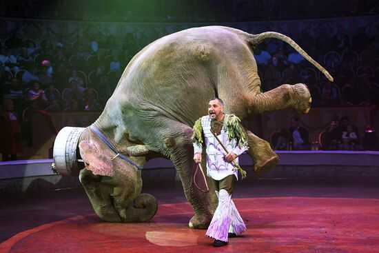 Russia Circus Festival