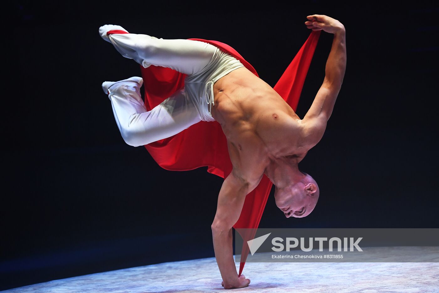 Russia Circus Festival