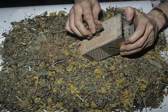 Healer Alexander Deryabin