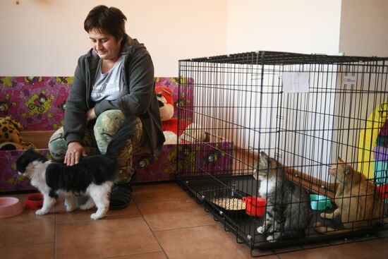 Russia Ukraine Military Operation Cat Shelter