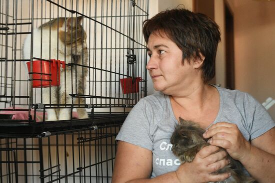 Russia Ukraine Military Operation Cat Shelter