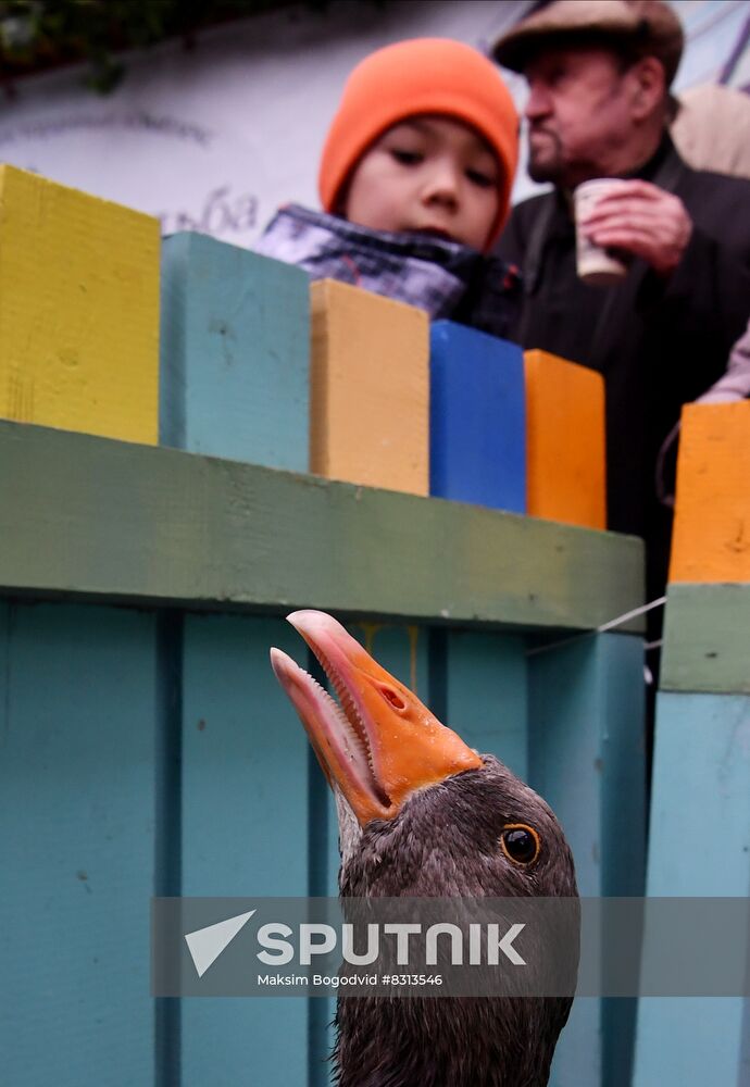 Russia Tatar Folk Festival