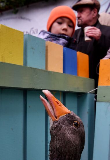 Russia Tatar Folk Festival