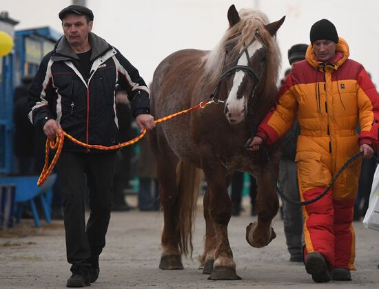 Russia Agriculture Breeding Animals Exhibition