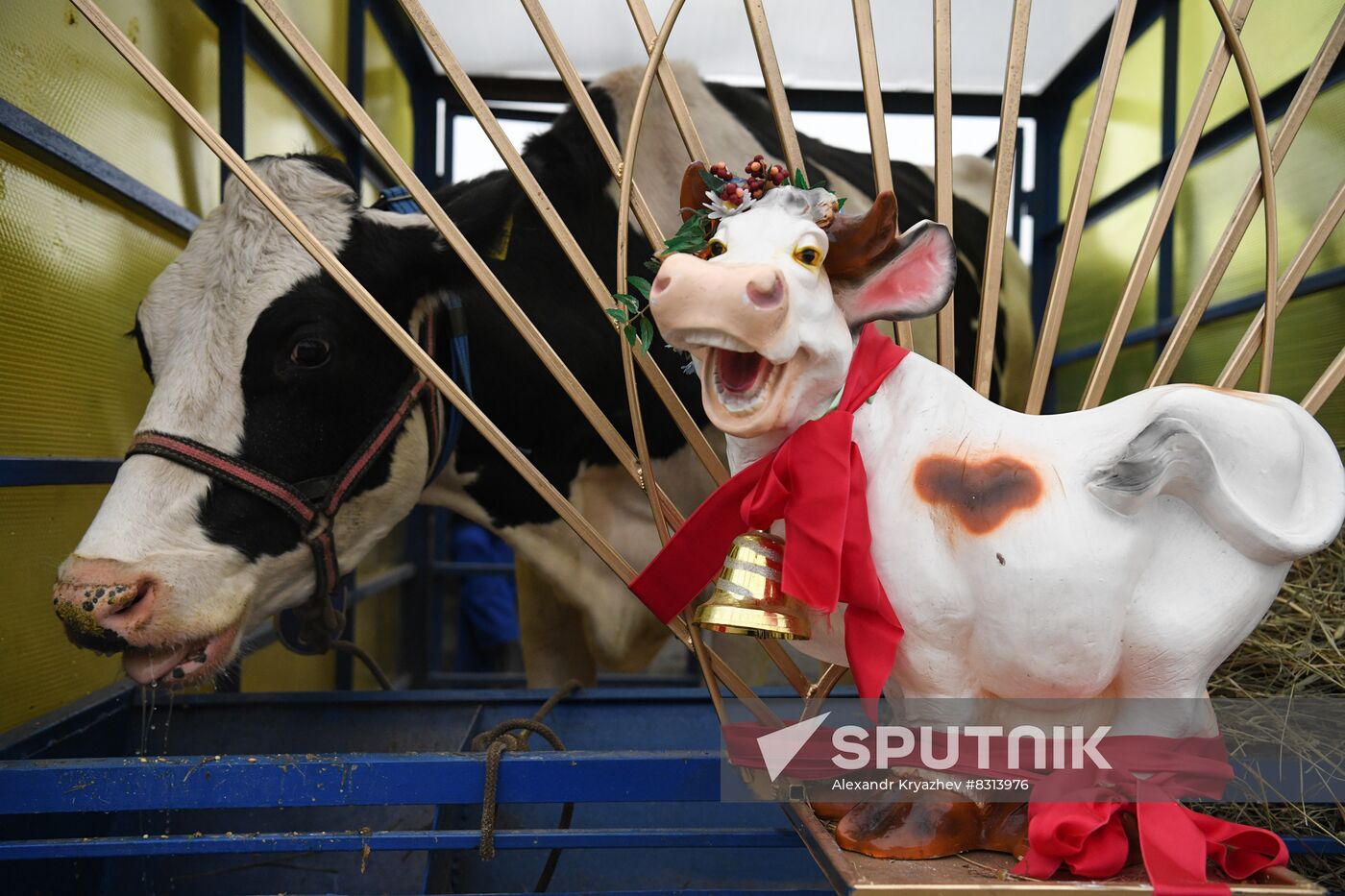 Russia Agriculture Breeding Animals Exhibition