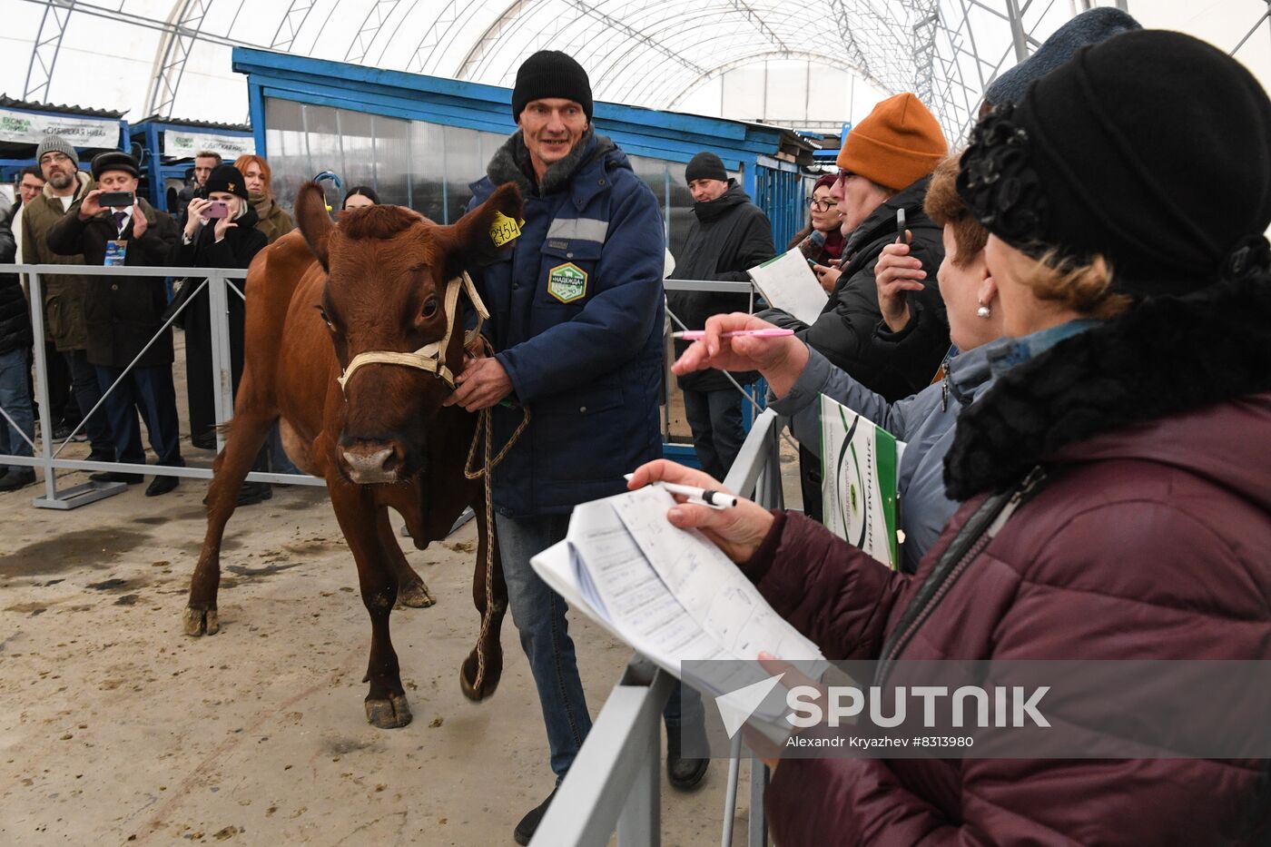 Russia Agriculture Breeding Animals Exhibition