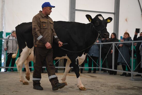 Russia Agriculture Breeding Animals Exhibition