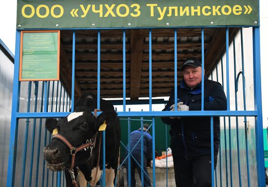 Russia Agriculture Breeding Animals Exhibition