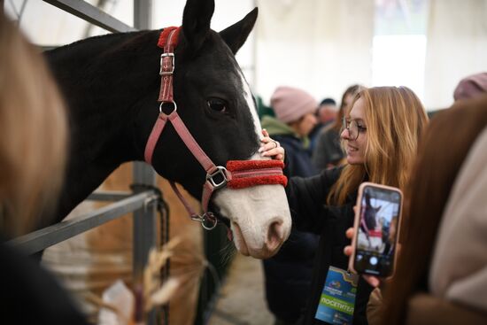 Russia Agriculture Breeding Animals Exhibition