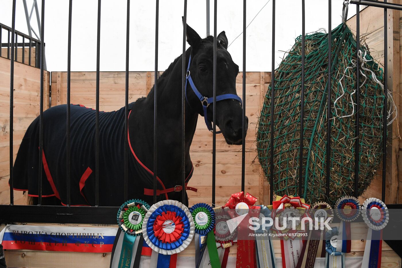 Russia Agriculture Breeding Animals Exhibition