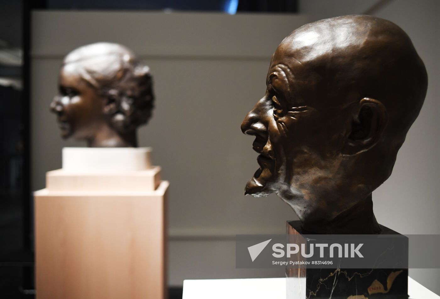 Russia Sculpture Art Shadr Exhibition